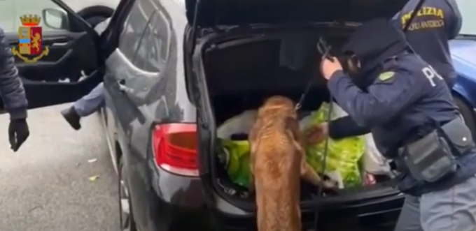 Ramificazioni anche nell’alessandrino nell’operazione antidroga della polizia di Cuneo