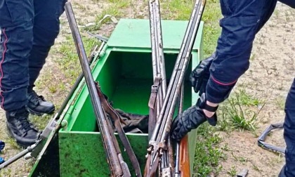 Capriata d'Orba, Carabinieri ritrovano cassa di armi in area boschiva