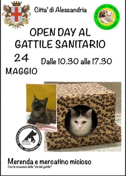 Alessandria Open Day Gattile