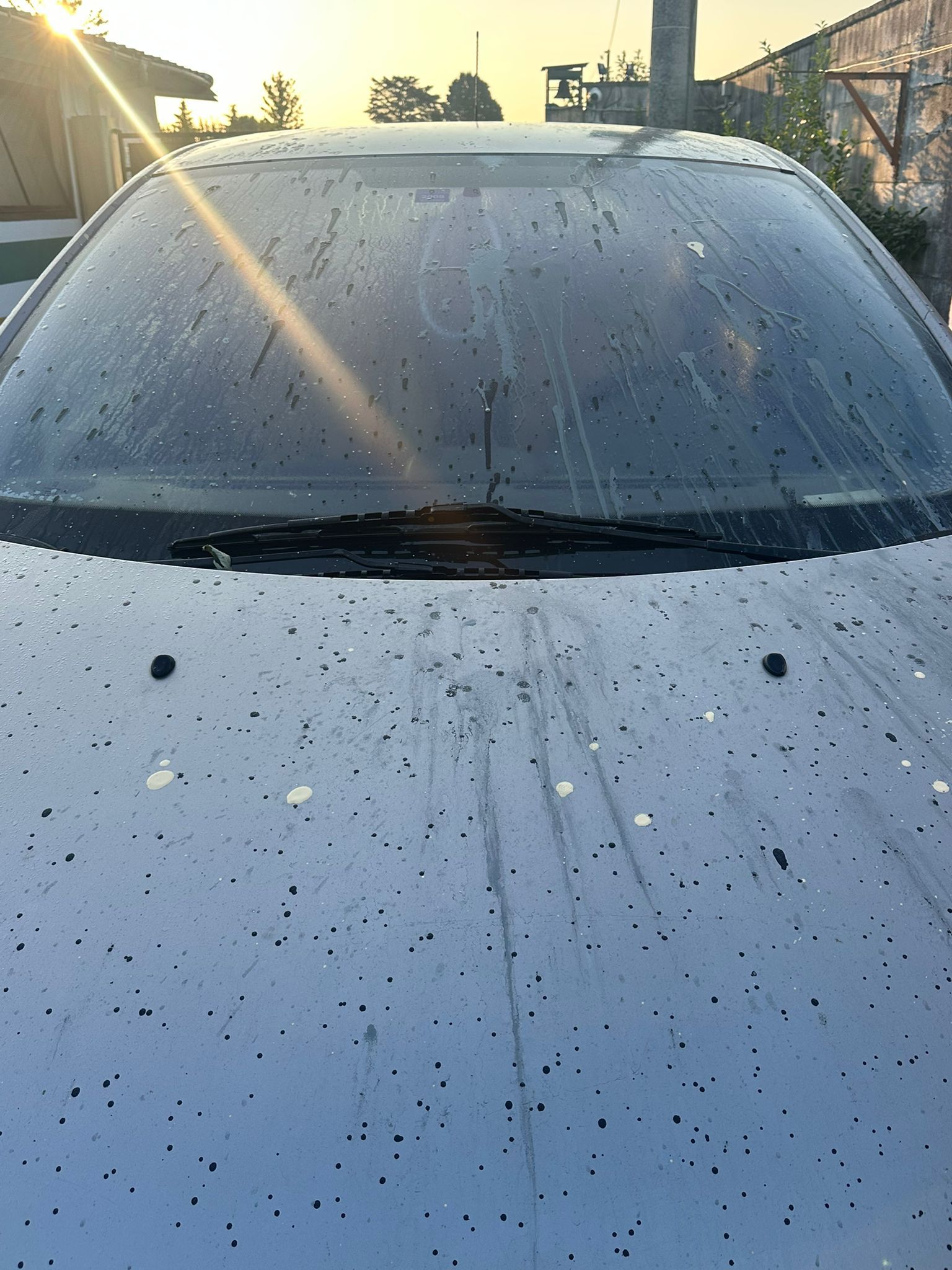 Atto vandalico cascina rosa (3)