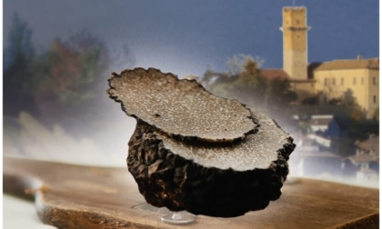 A Murisengo la prima Fiera Nazionale del Tartufo Nero “Trifola nOiR”