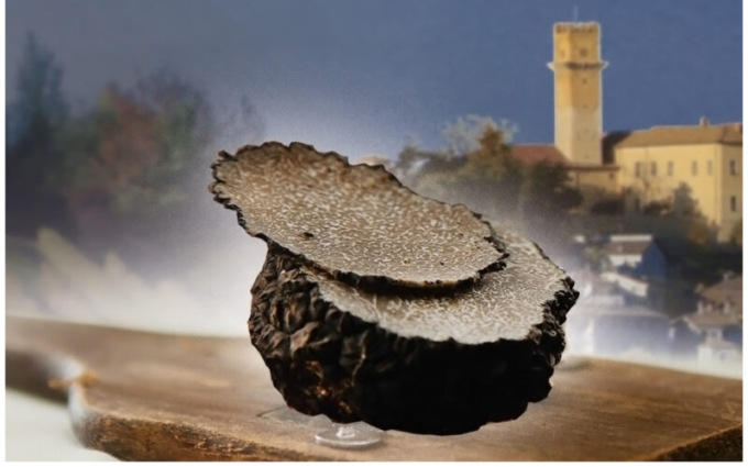 A Murisengo la prima Fiera Nazionale del Tartufo Nero “Trifola nOiR”