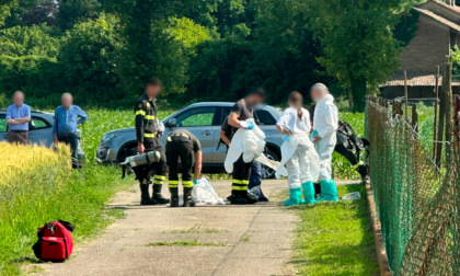 Cane trovato morto in un'abitazione a Viguzzolo: scatta il sequestro degli altri animali