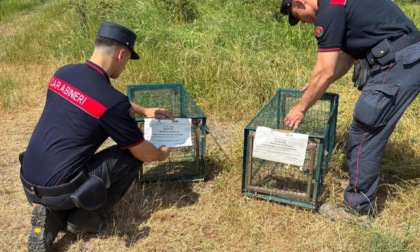 Caccia in periodo di divieto e con mezzi non consentiti: due denunce nel Pinerolese