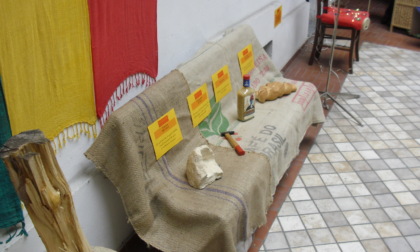 Alessandria, all'Erboristeria Erba Colta la mostra "Felinico" e la presentazione di “Erbe in gravidanza, allattamento e infanzia”