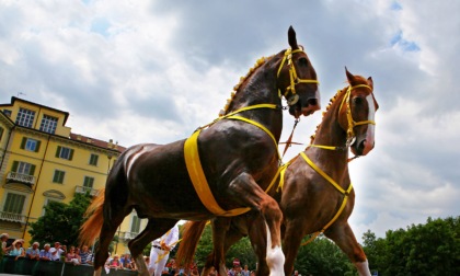 Ivrea si prepara a celebrare San Savino
