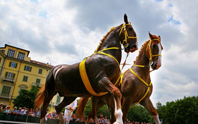 Ivrea si prepara a celebrare San Savino