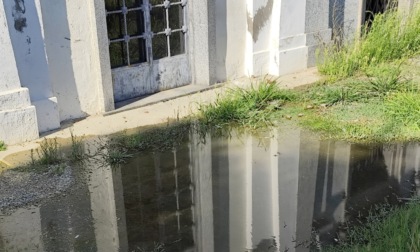 Perdita d'acqua al cimitero di Alessandria: la segnalazione di un lettore