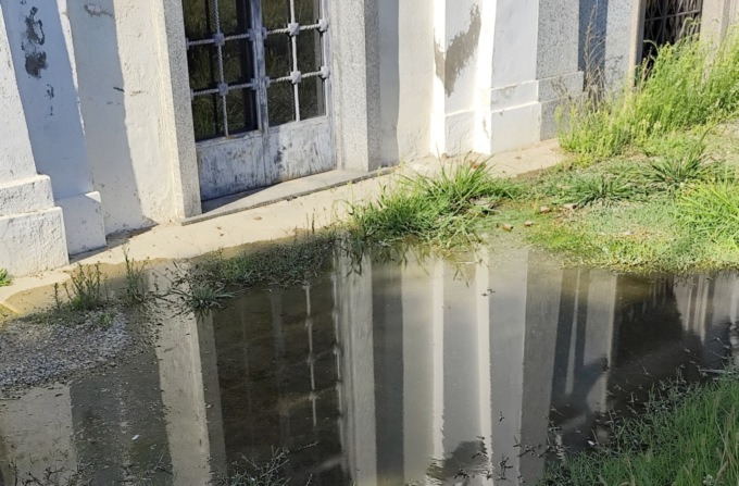 Perdita d’acqua al cimitero di Alessandria: la segnalazione di un lettore