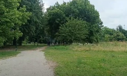 I residenti del quartiere Pietra Alta di Torino chiedono più sicurezza nel parco Stura