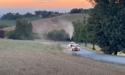 Piretro naturale contro le zanzare lomelline: Alessandria capofila di un progetto nazionale