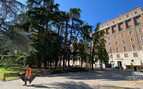 Albero pericolante presso i Giardini Pubblici di Alessandria: l’intervento del Comune