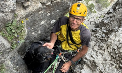 Cani caduti in un canalone a Bardonecchia, recuperati dalla Guardia di Finanza