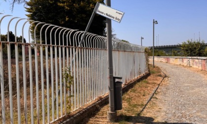 Cavi scoperti lungo la passeggiata del Tiziano ad Alessandria: l'interpellanza di Fratelli d'Italia