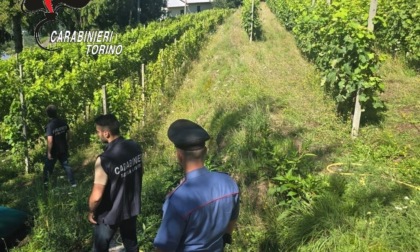 Torino, controlli dei Carabinieri per contrastare il caporalato