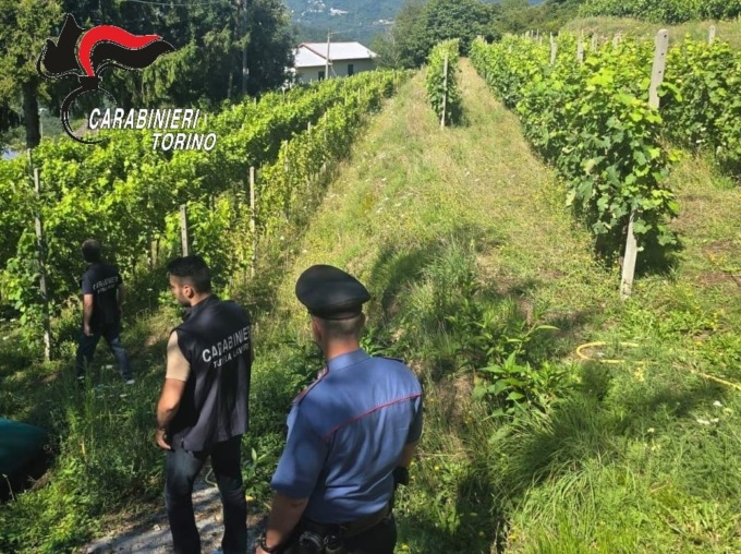 Torino, controlli dei Carabinieri per contrastare il caporalato