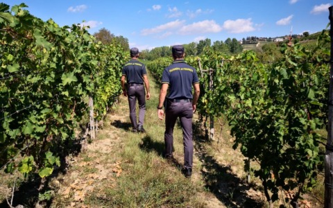 Controlli della Guardia di Finanza nell’Astigiano per contrastare il caporalato