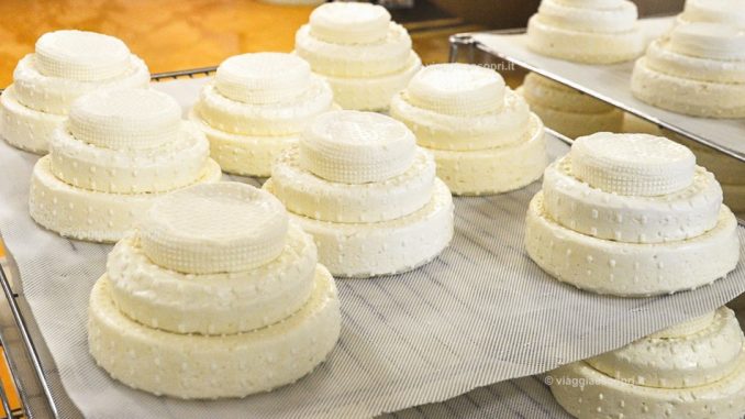 Il formaggio Montebore protagonista alla manifestazione internazionale Cheese