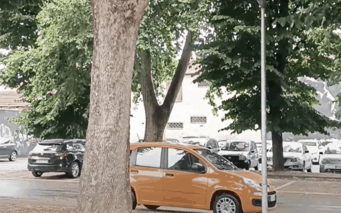 Nichelino, auto parcheggiate su suolo pubblico nel mirino dei vandali