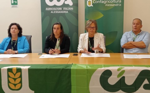 Agricoltura in crisi: i prezzi non pareggiano i costi di produzione