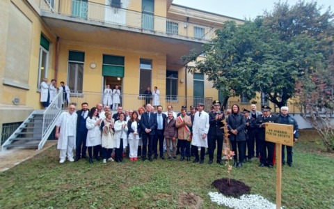 All’ospedale Santo Spirito di Casale Monferrato un nuovo “Albero per la salute”
