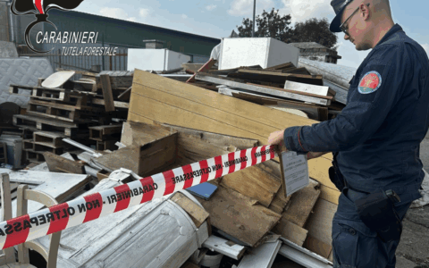 Raccolta e trasporto illegale di rifiuti a Balzola: sequestrato un autocarro e denunciato un 43enne
