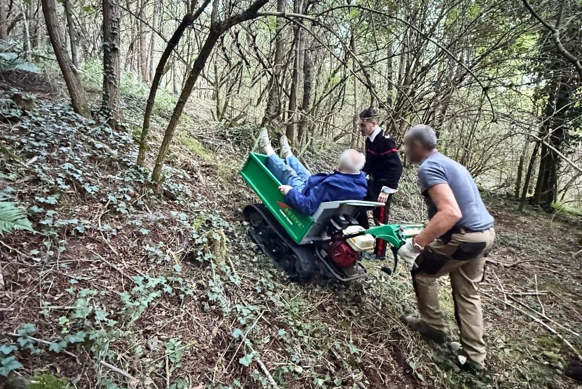 Anziano si perde nei boschi: soccorso dai Carabinieri grazie all’aiuto di un agricoltore