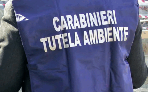 immagine notizia