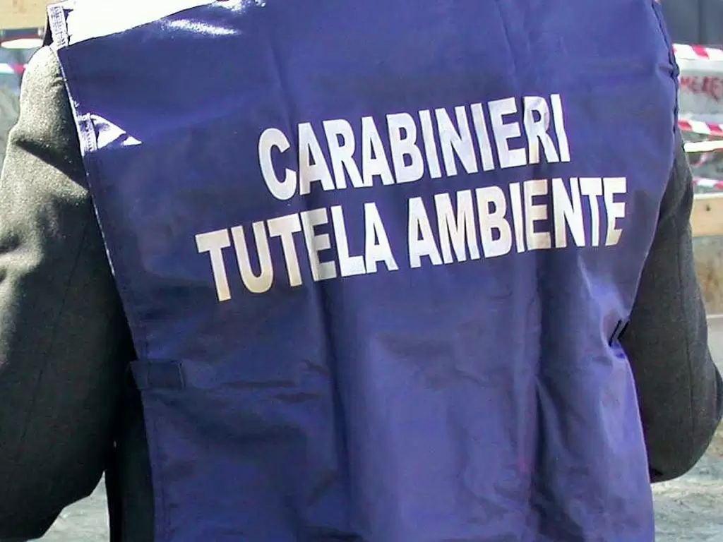 Perquisizioni dei Carabinieri in provincia di Torino per false certificazioni ambientali