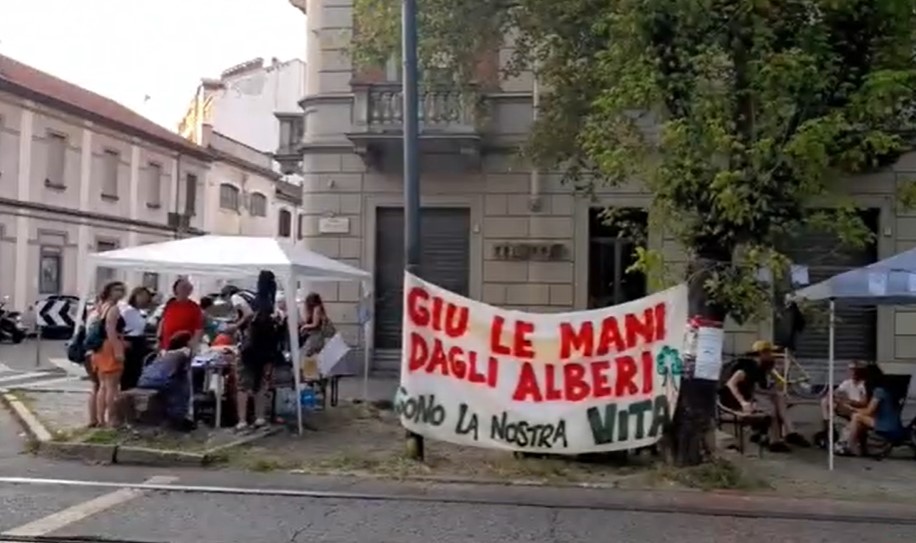 Una petizione per salvaguardare le alberature di Torino
