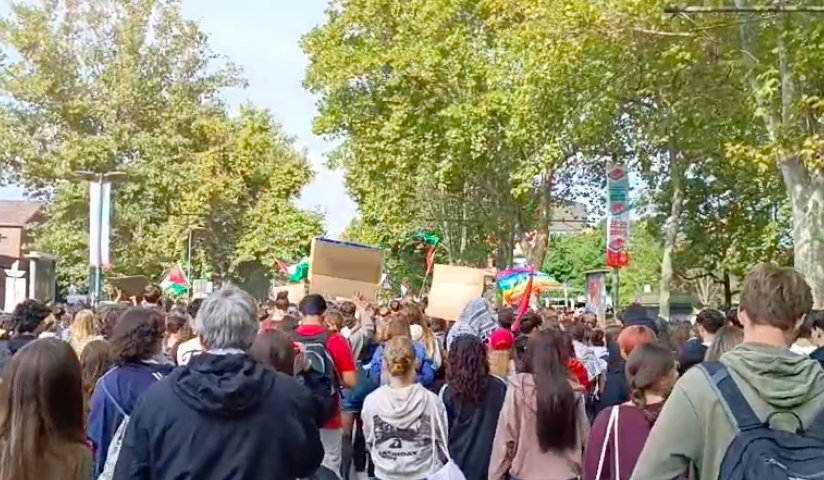 Secondo la Cgil, oltre 50.000 persone in piazza a Torino per la Palestina