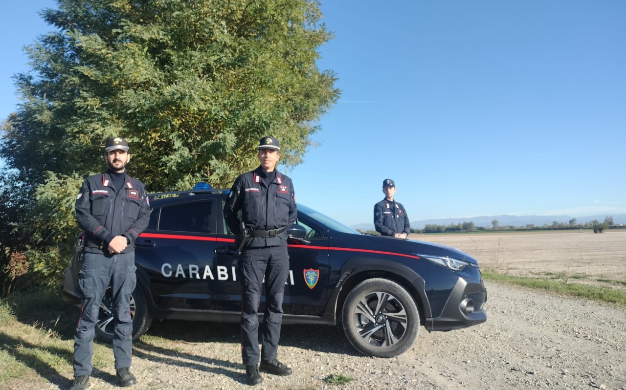 Sempre più lupi nelle campagne. Carabinieri della Forestale: “Hanno timore dell’uomo”