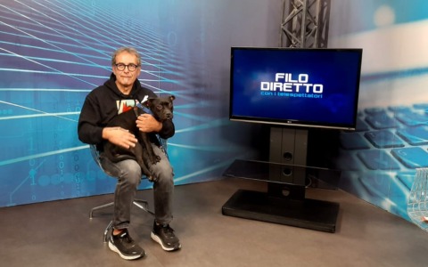 La mostra “Mi Fido”: arte e solidarietà per il Canile di Alessandria