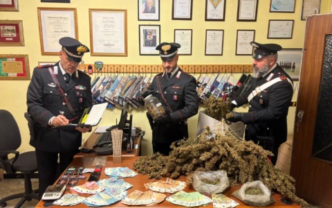 Coltivava marijuana nel sottotetto di casa: arrestato 36enne nell’Astigiano