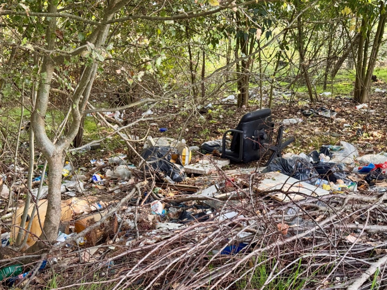 Discarica abusiva in via Vecchia dei Bagliani, Priano (FdI) chiede al Comune di intervenire