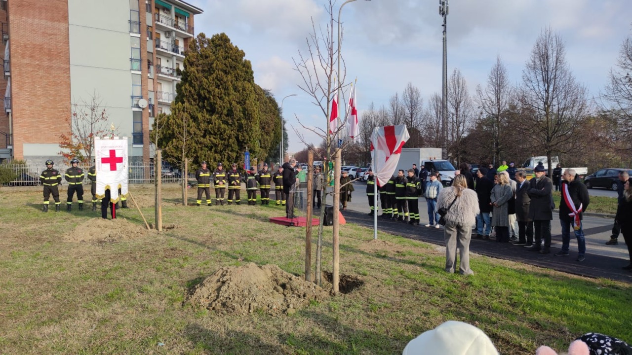 Inaugurato il “Bosco della Memoria”: tre alberi in memoria Marco Triches, Matteo Gastaldo e Antonino Candido