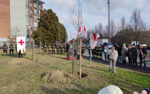 Inaugurato il “Bosco della Memoria”: tre alberi in memoria Marco Triches, Matteo Gastaldo e Antonino Candido