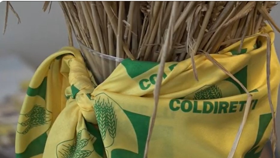 Annata agraria difficile in provincia di Alessandria. Coldiretti si mette “in ascolto” dei soci