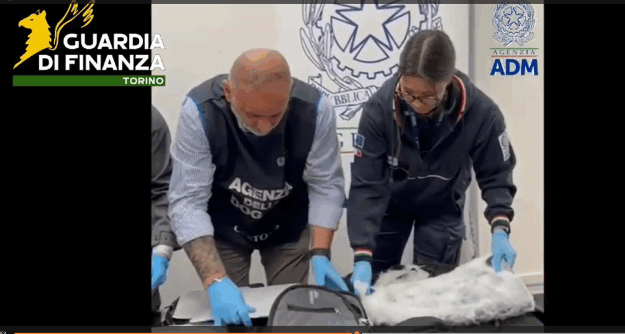 9 chili di cocaina sequestrati all’aeroporto Sandro Pertini a Caselle Torinese