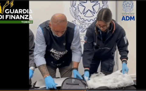 9 chili di cocaina sequestrati all’aeroporto Sandro Pertini a Caselle Torinese