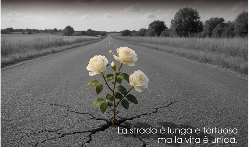 Il 18 novembre a Novi Ligure l’iniziativa dedicata al ricordo delle vittime della strada