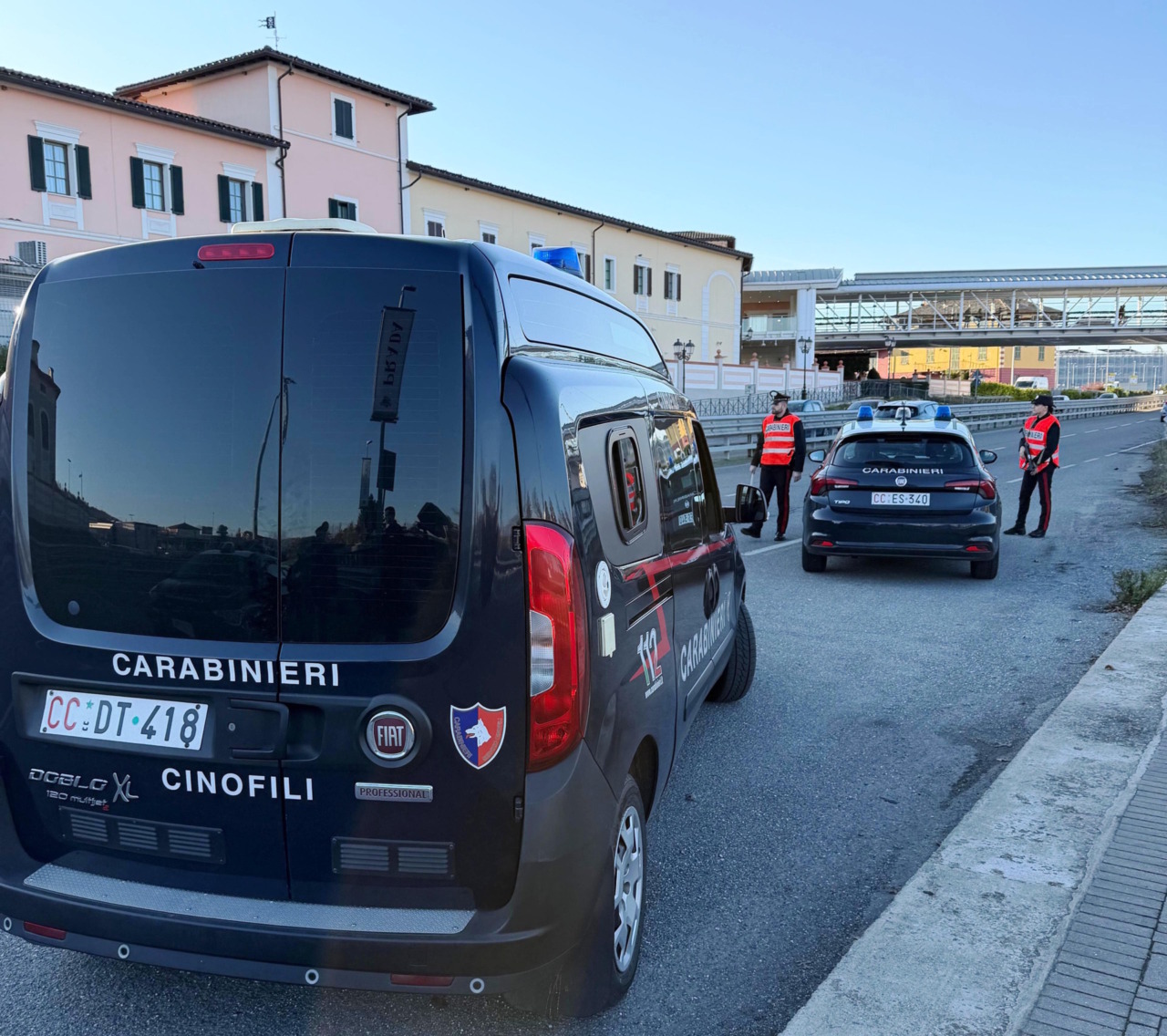 Controlli dei Carabinieri novesi con il supporto del Nucleo Cinofili di Torino