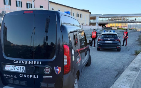 Controlli dei Carabinieri novesi con il supporto del Nucleo Cinofili di Torino
