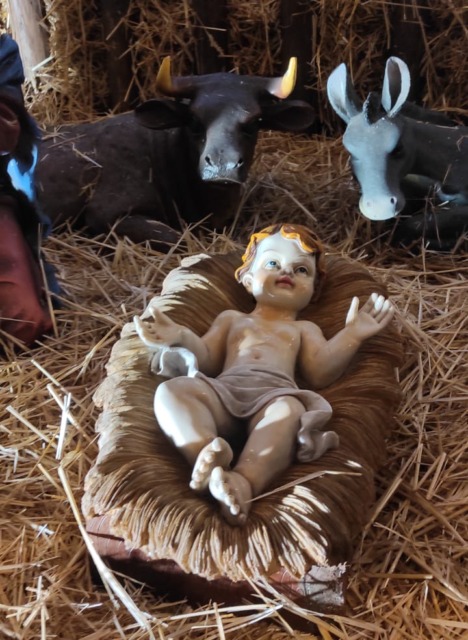 Alessandria, scoperto il Bambinello nel Presepe del Movimento Cristiano Lavoratori