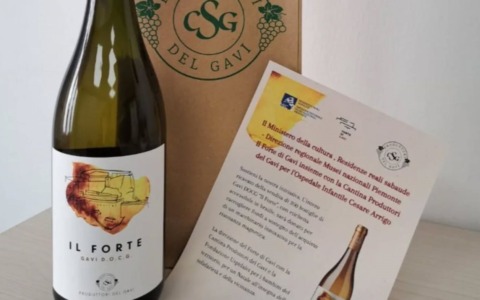 Tornano le bottiglie della Cantina Produttori del Gavi per la Fondazione Uspidalet