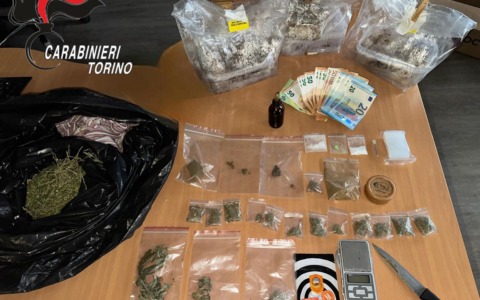Torino: coltivava funghi allucinogeni in cucina. 22 enne ai domiciliari