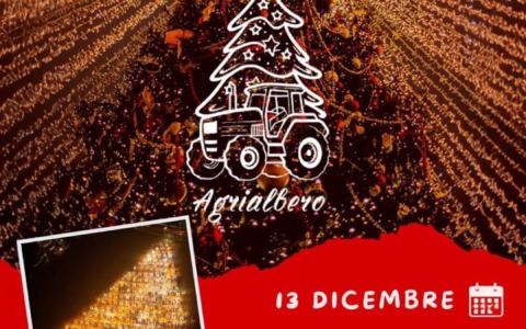 Castelceriolo, domani l’appuntamento con l’Agrialbero solidale Verra