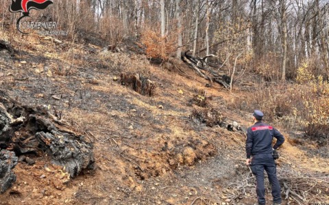 Coassolo Torinese, Carabinieri identificano responsabile di incendio boschivo