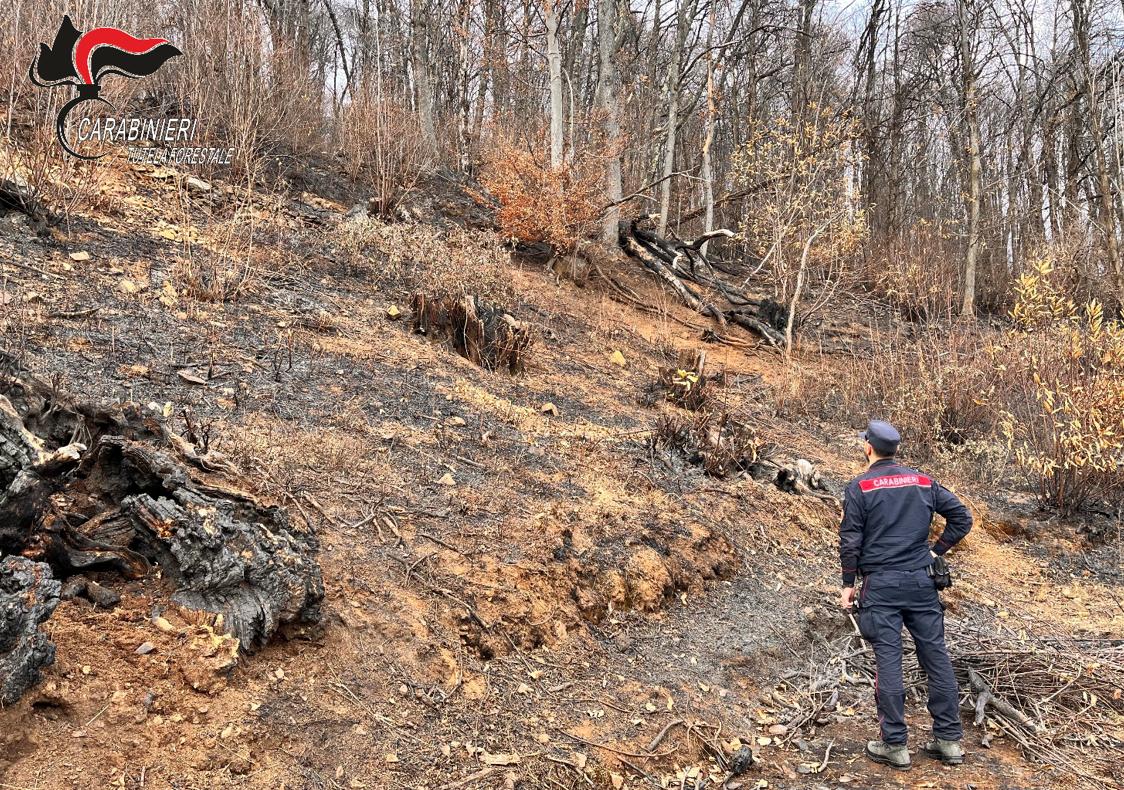Coassolo Torinese, Carabinieri identificano responsabile di incendio boschivo