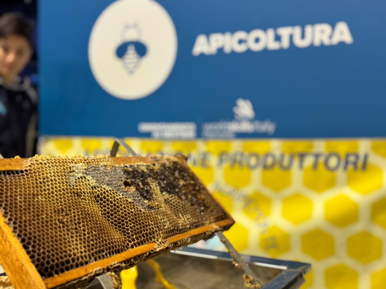 Bando “Il regno delle api, sentinelle della natura”: La Regione finanzia 50 progetti nelle scuole